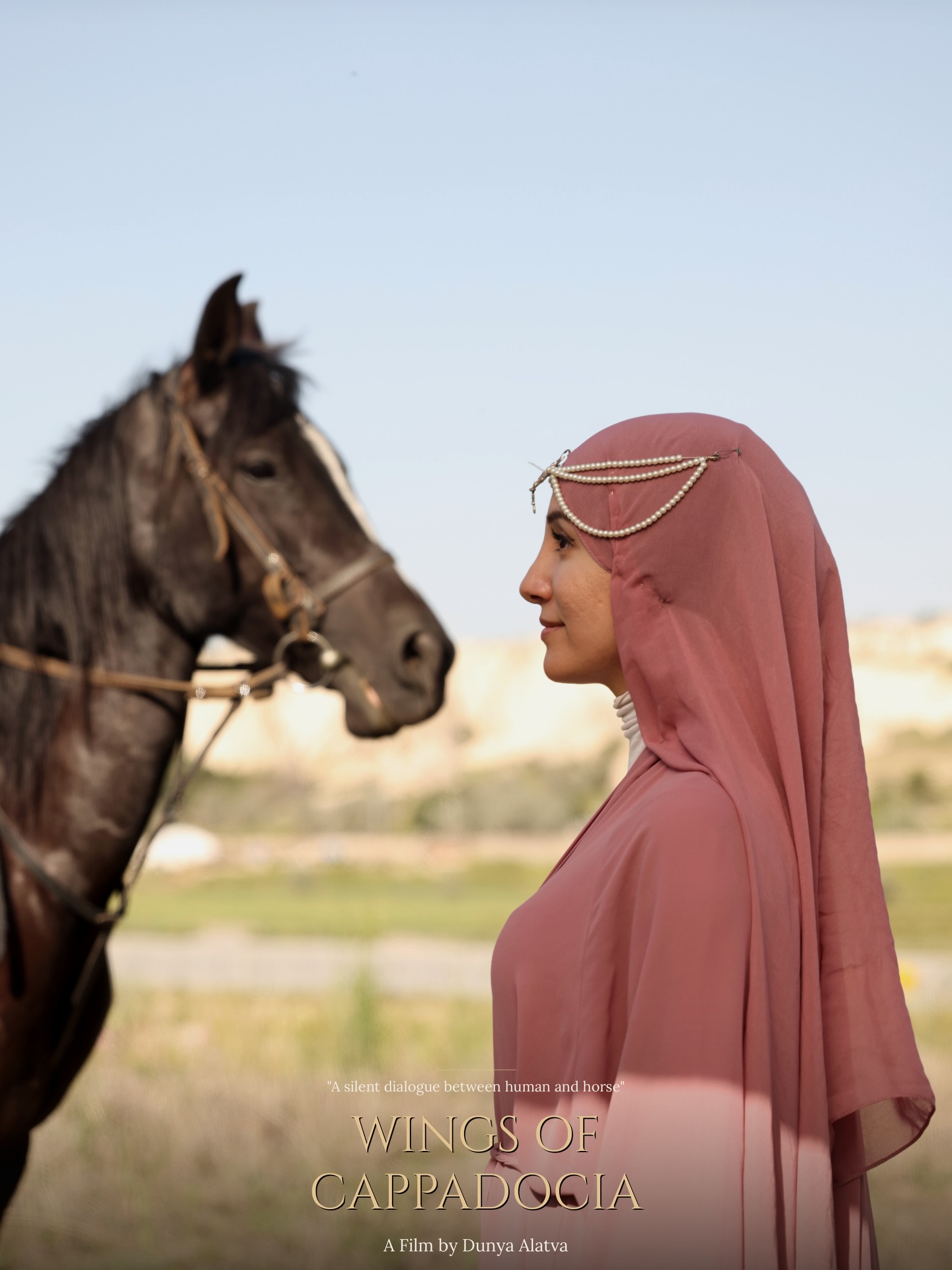A silent dialogue between human and horse